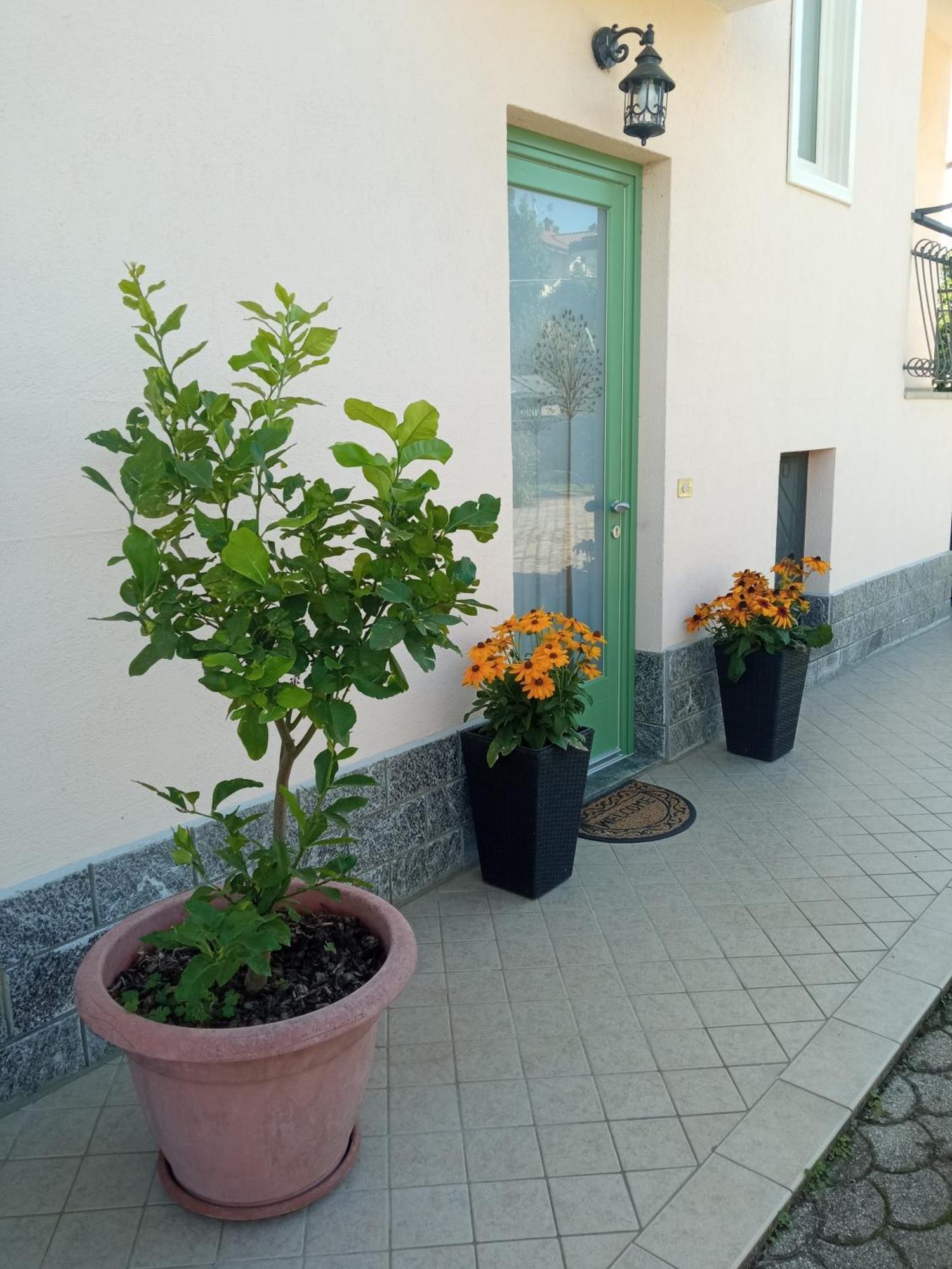 B&B L'Ortensia Vignolo Экстерьер фото