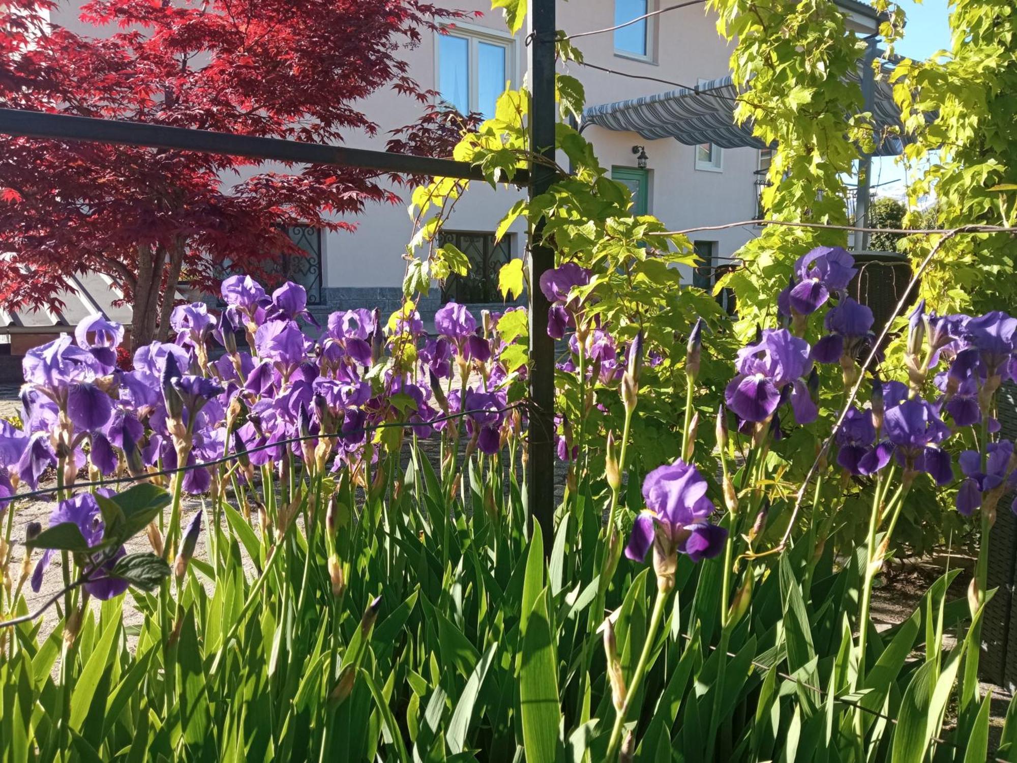 B&B L'Ortensia Vignolo Экстерьер фото